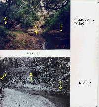 mcstoppp_1730novatoblvd-i(sta-64-50).jpg 343K