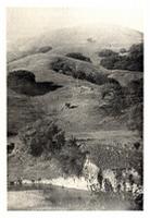 ../topics/nm/mcdpw_miller_northvalley_1973.jpg + 167 KB