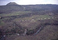 cdfg24.jpg 26K