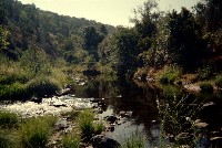 sf_036_us.jpg.jpg 156K