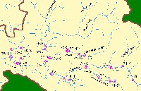 mrcfish_bignf.jpg 104K
