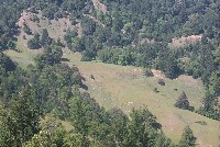 1_view_from_gps_27_toward_gps_24_and_25_sm.jpg 72K