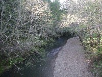 nf8_4_10_101_sm.jpg 189K