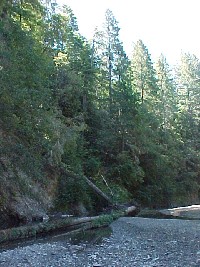 mvc-419f.jpg 132K