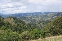 looking_north_toward_hedgepeth_reservoir_2_sm.jpg 92K