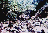 tmb_hu.0363_sm.jpg 121K
