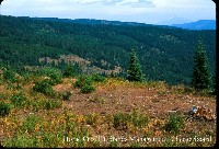 horse_creek_uplands_mgmt_b.jpg 113K