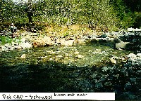 rc14.jpg 131K