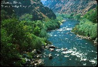 klamath_river_shasta_br.jpg 133K