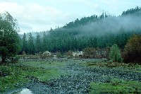 trpost5.jpg 56K
