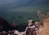 chinrock.jpg 88K