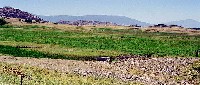shasta15.jpg 61K