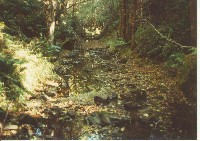 dfglp_23_p5_u_r.jpg 108K