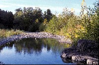 nv_01-tebbutt-pool1_sm.jpg 51K