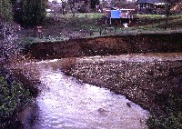 nv_j02-an7-rob_sm.jpg 48K