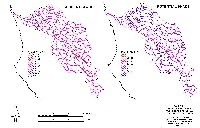 navarro_figure_5_11.jpg 144K