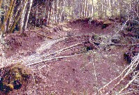 landslide3_sm.jpg 31K