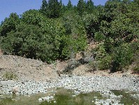 dscn0918_sm.jpg 83K