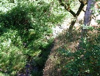 rr_jul_13_15_2003__089.jpg 224K