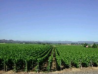 rr_bs_gey_rd_jul_15_2003__058.jpg 103K