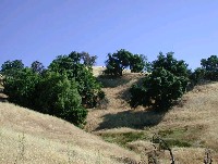 rr_bs_gey_rd_jul_15_2003__107.jpg 106K