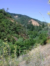 rr_bs_gey_rd_jul_15_2003__327.jpg 228K