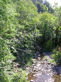 rr_jul_13_15_2003__317.jpg 269K