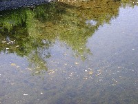 rr_jul_13_15_2003__392.jpg 112K