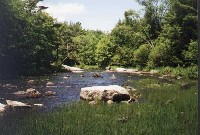 wsp_river.jpg 38K
