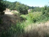 ../mcfcwcd/chan_maint/zone_1/Cheda Cr (Cowbarn Ln).JPG + 347 KB